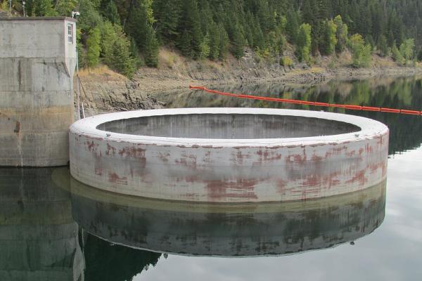 Hungry Horse Dam
