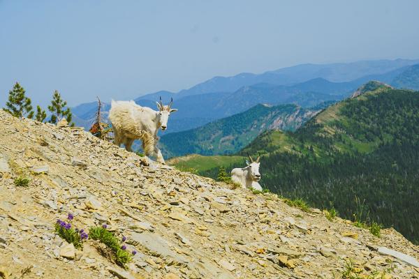 Jewel Basin Hiking Area