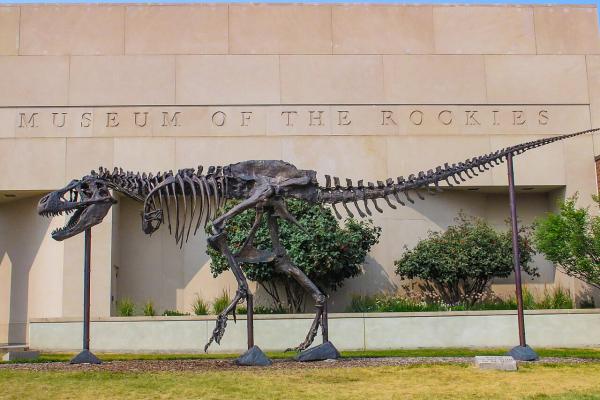 Museum of the Rockies