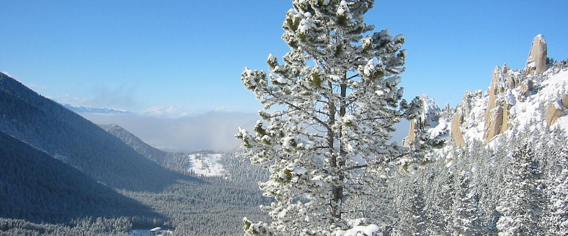 Red Lodge Mountain, Red Lodge, Montana