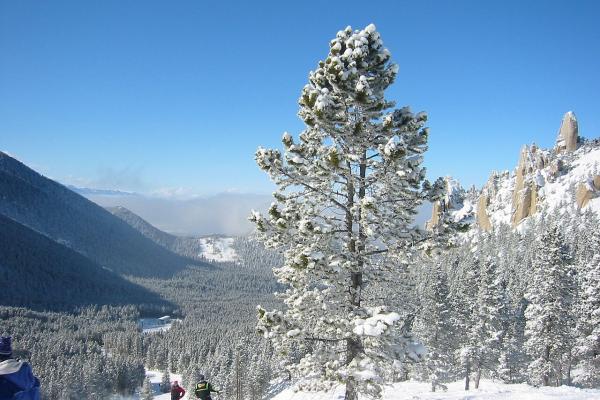 Red Lodge Mountain