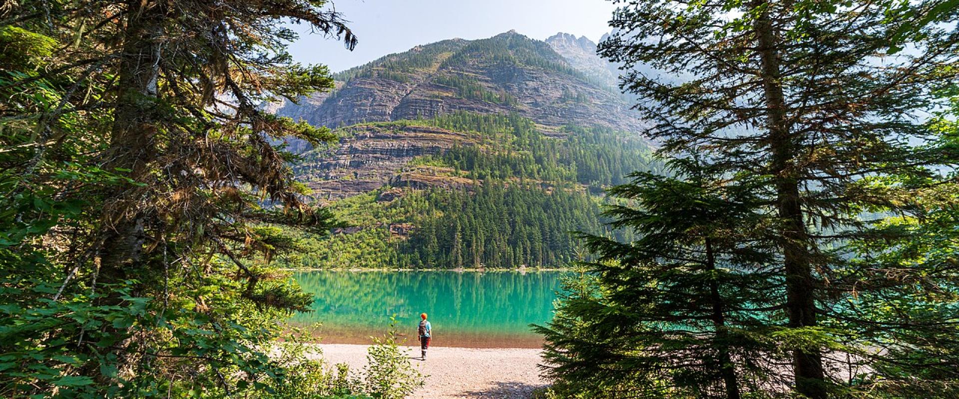 Trail of the Cedars and Avalanche Lake, West Glacier, Montana