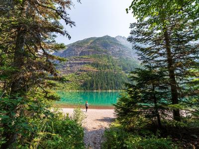 Trail of the Cedars and Avalanche Lake, West Glacier, Montana