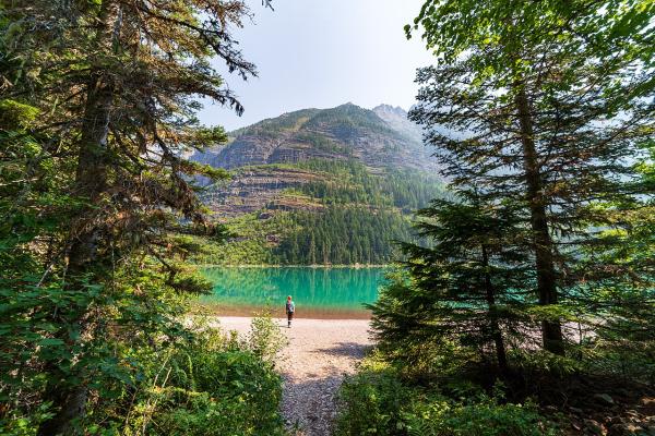 Trail of the Cedars and Avalanche Lake