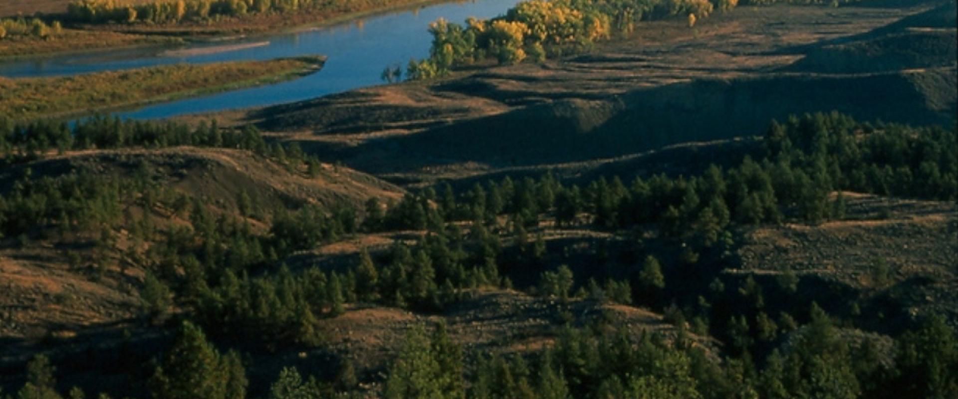 Montana Wildlife and Ecology: Grizzlies, Wolves, Bison in 2026