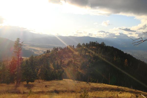 Mount Sentinel M Trail