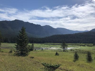 Meadows and mountains in Hyalite Canyon