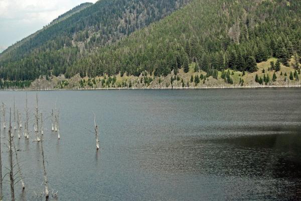 Earthquake Lake