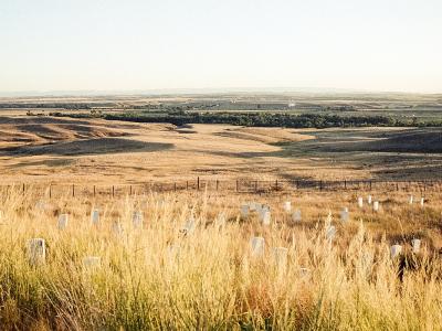 Little Bighorn Battlefield National Monument, Hardin, Montana