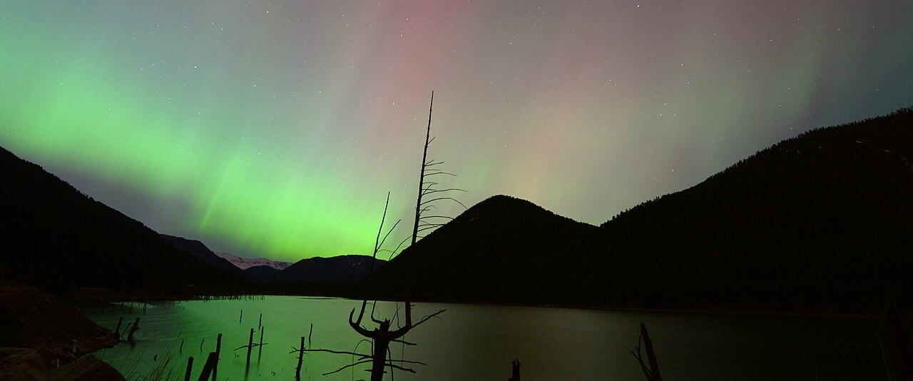 Green and red aurora over Earthquake Lake and its dead standing trees on May 10, 2024