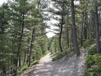 The 1906 Trail in Mount Helena City Park