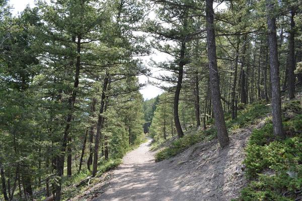 Mount Helena City Park
