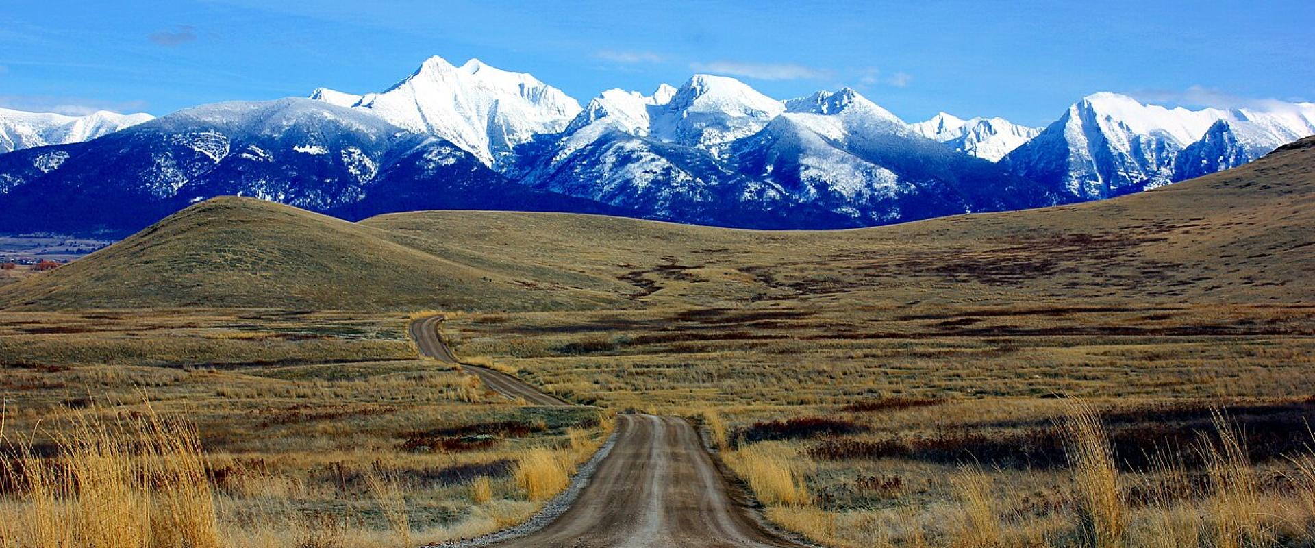 Wildlife Watching in Montana: Where and When to Go