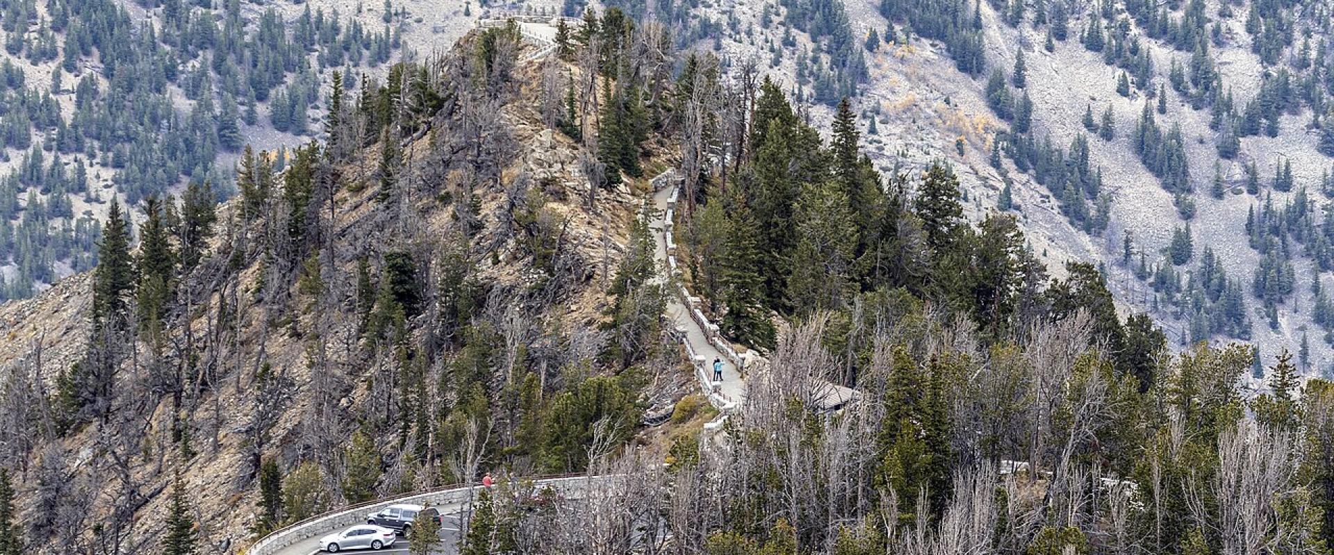 Montana Winter Driving: 511, Pass Closures and Road Rules